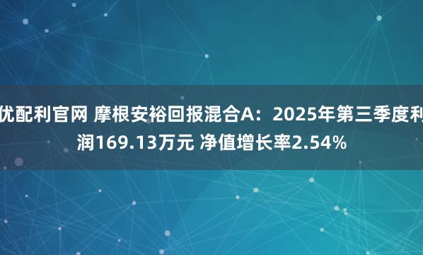 优配利官网 摩根安裕回报混合A:2025年第三季度利润169.13万元 净值增长率2.54%