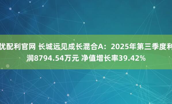 优配利官网 长城远见成长混合A：2025年第三季度利润8794.54万元 净值增长率39.42%