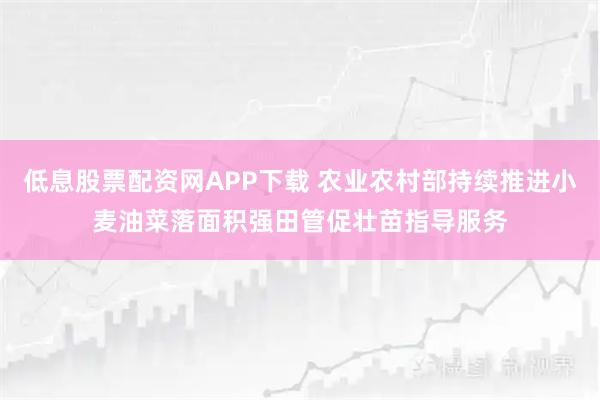 低息股票配资网APP下载 农业农村部持续推进小麦油菜落面积强田管促壮苗指导服务