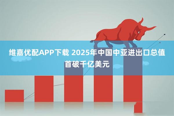 维嘉优配APP下载 2025年中国中亚进出口总值首破千亿美元