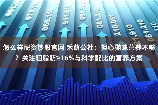 怎么样配资炒股官网 禾萌公社：担心猫咪营养不够？关注粗脂肪≥16%与科学配比的营养方案