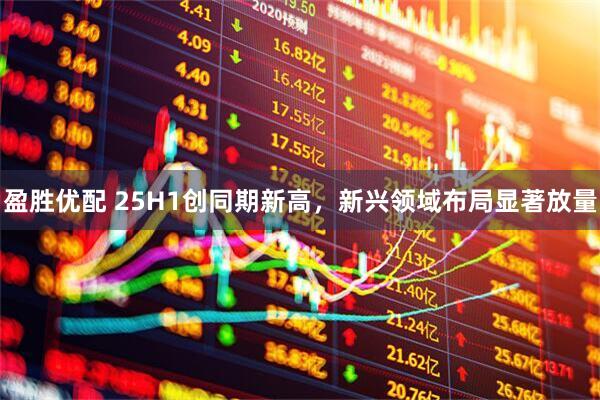 盈胜优配 25H1创同期新高，新兴领域布局显著放量