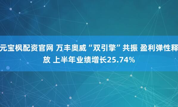 元宝枫配资官网 万丰奥威“双引擎”共振 盈利弹性释放 上半年业绩增长25.74%